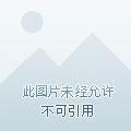 修为被废的